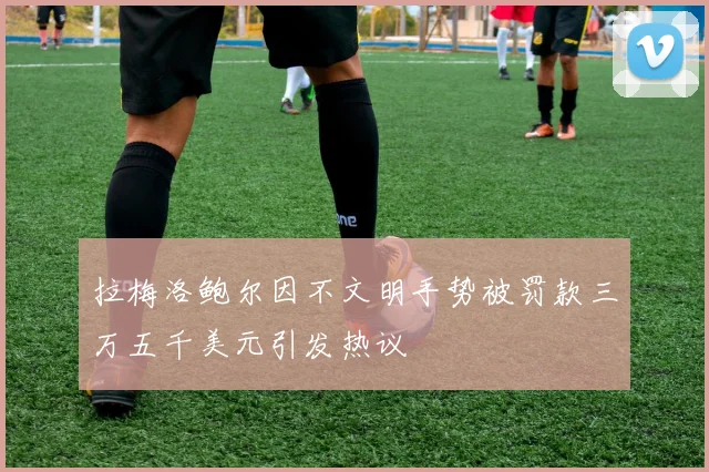 拉梅洛鲍尔因不文明手势被罚款三万五千美元引发热议