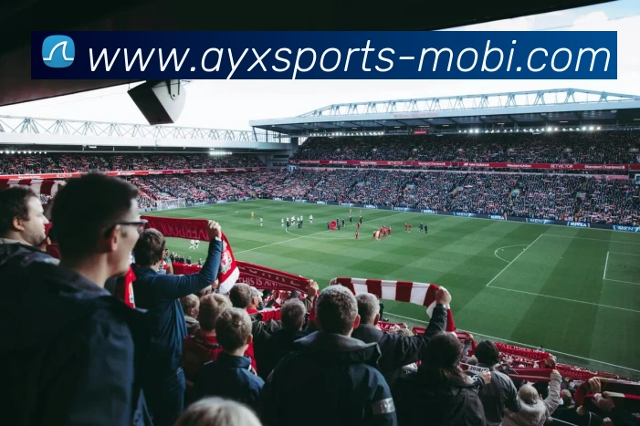 多媒体互动体验